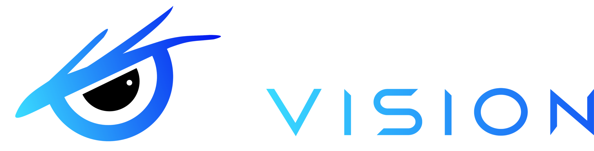 Join Us – Falcon Vision